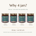 An informational graphic for Neeshi Dark Cacao Spread showing four jars arranged in a row with the headline 'Why 4 jars?' and text explaining a 28-day cycle: one jar corresponds to one week, and one spoonful is used daily. The jars have teal labels and gold lids on a light beige background.