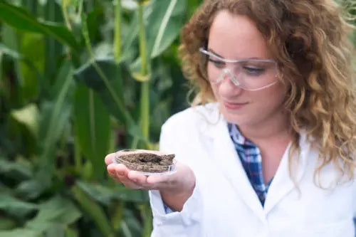 Exploring the Science of Seed Cycling for Hormonal Balance
