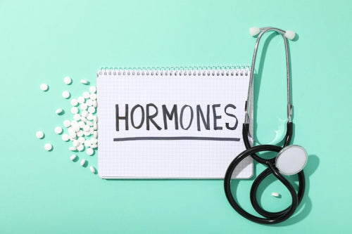 Impact of Endocrine Disruptors on Women's Hormone Health