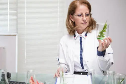 Phytochemicals and Hormone Regulation: What Science Says
