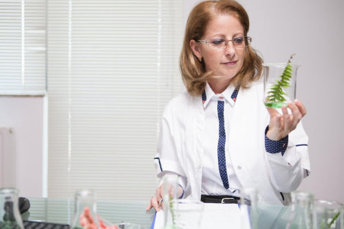 Phytochemicals and Hormone Regulation: What Science Says