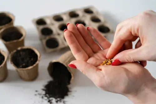 Seed Cycling Evidence and Its Effectiveness for Hormonal Health