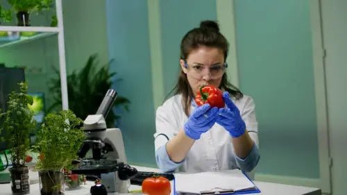 Studies Investigate Phytoestrogens in Everyday Plant Foods for Hormonal Support
