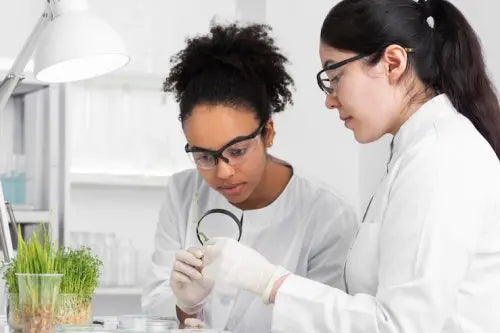 Researchers Examine Plant-Based Interventions for Hormonal Fluctuations in Women