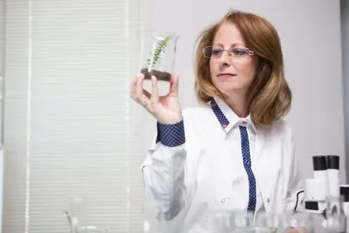 Plant Compounds Studied for Effects on Estrogen Metabolism