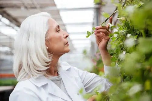 Scientists Examine Plant-Based Approaches to Hormonal Changes in Midlife Women