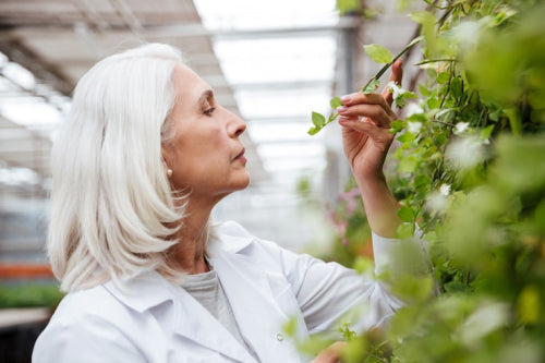 Scientists Examine Plant-Based Approaches to Hormonal Changes in Midlife Women