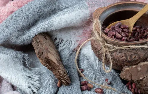 Neeshi Dark Cacao Spread: A Daily Cacao Ritual for Hormonal Wellness