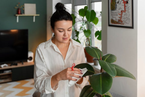 What to Consider When Choosing Plant-Based Hormonal Wellness Products