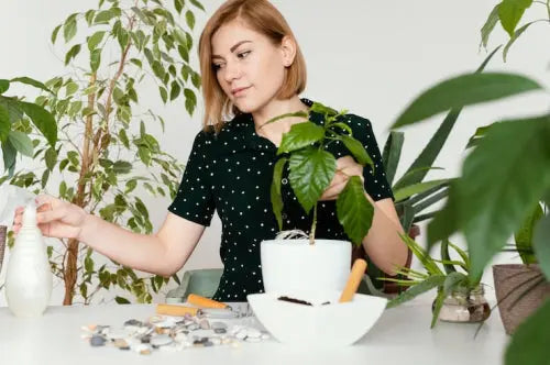 Top Herbal Supplements for Hormonal Balance Every Woman Should Know
