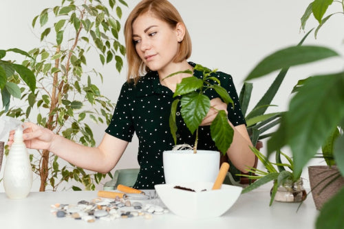 Top Herbal Supplements for Hormonal Balance Every Woman Should Know