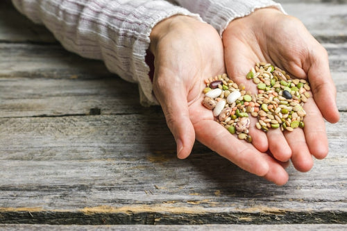 Seed Cycling: What It Is and How It Supports Hormonal Health