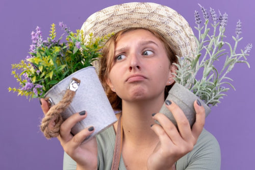 Natural Remedies for Hormonal Imbalance: What Works and What Doesnt