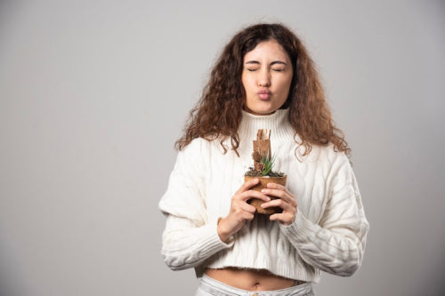 The Top 10 Benefits of Ashwagandha for Womens Hormonal Health