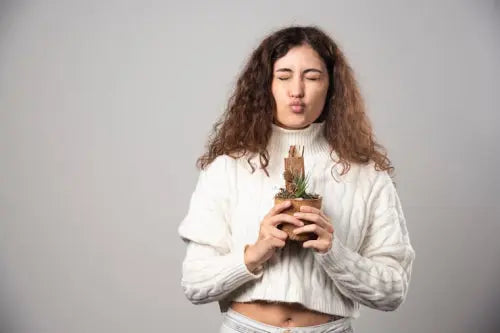 The Top 10 Benefits of Ashwagandha for Womens Hormonal Health