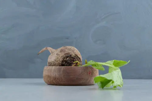 The Role of Maca Root in Female Hormones