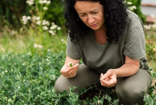 Evidence-Based Herbal Hormone Support