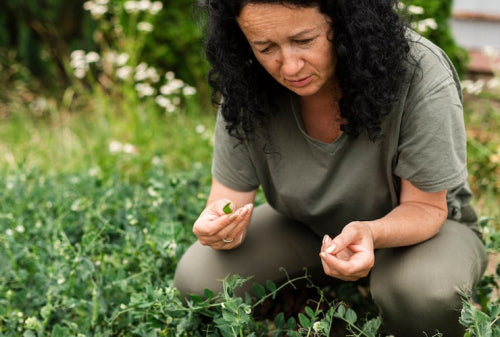 Evidence-Based Herbal Hormone Support